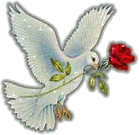 oiseaux avec rose