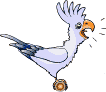 PARROTLIFE