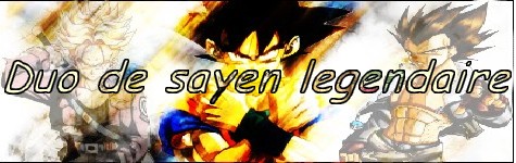 duo de sayan legendaire