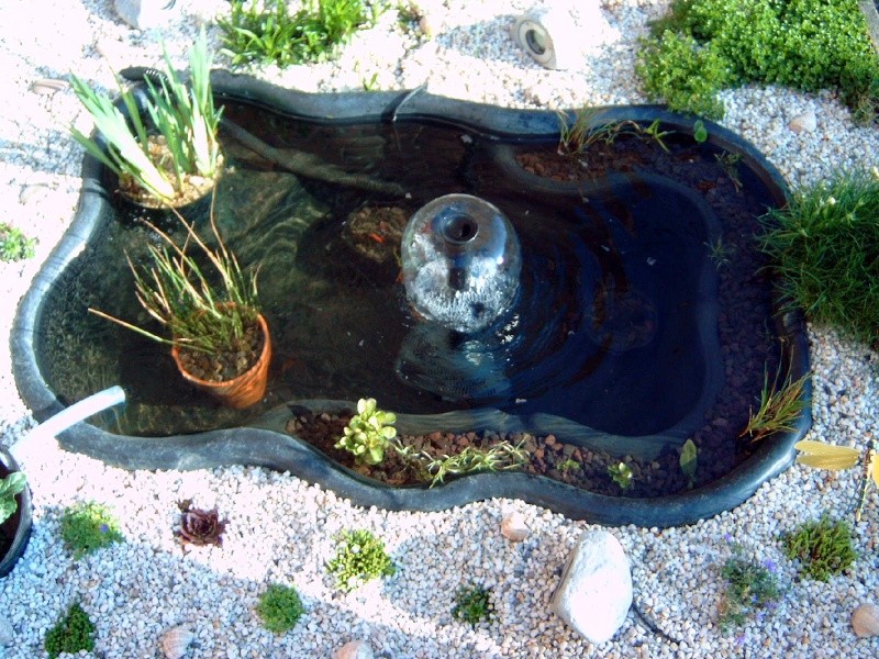 bassin jardin nord spécialiste bâche epdm, kit filtration pas cher, poissons,