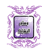 وسام النشاط وسام النشاط