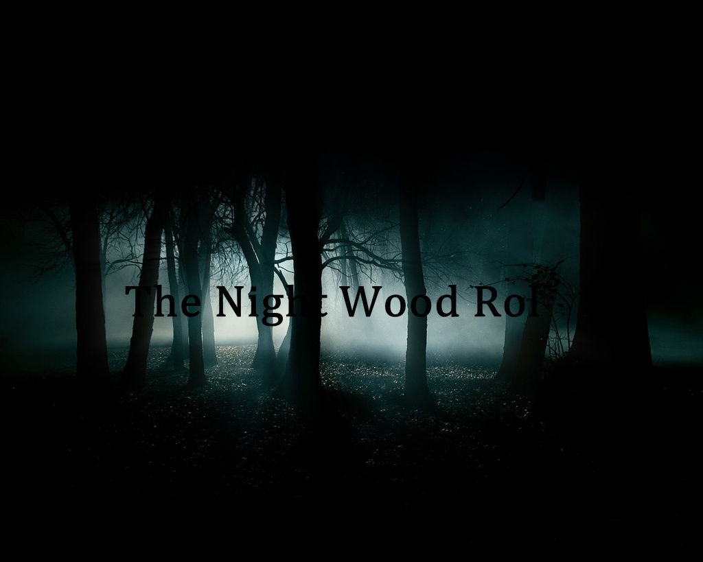 The night wood