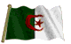 المتواجدون الآن ؟