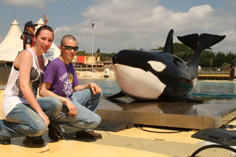 rencontre avec otaries marineland avis