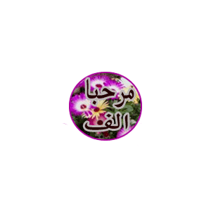المتواجدون الآن ؟