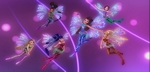 Obtient le Sirénix Obtient le Sirénix