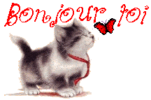 Pas de nouveaux messages