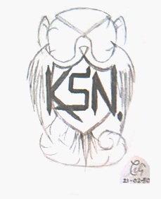 ksn-1_10.jpg