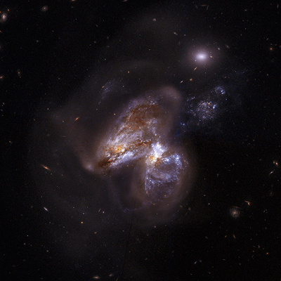 ARP 299 par Chandra x-ray