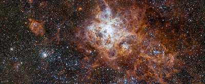 Nébuleuse de la Tarentule constellée d'amas stellaires