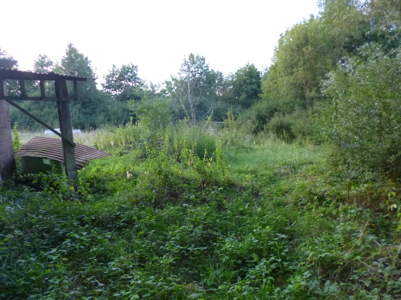 p1020816.jpg
