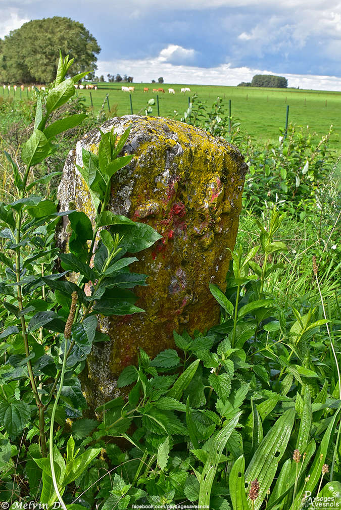 Image hébergée par servimg.com