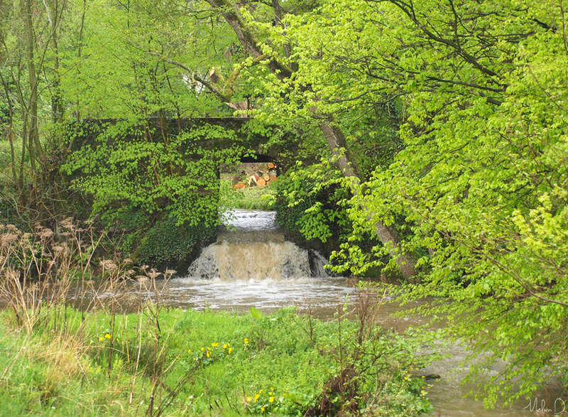 Image hébergée par servimg.com
