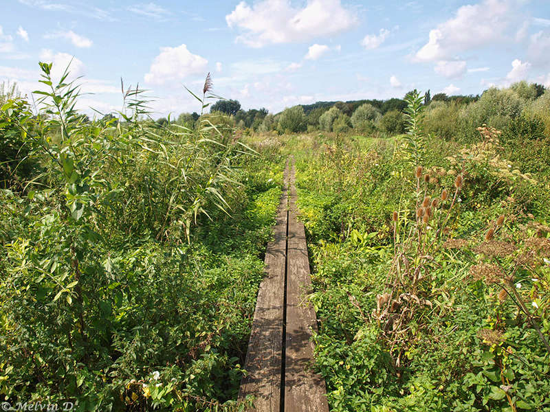Image hébergée par servimg.com