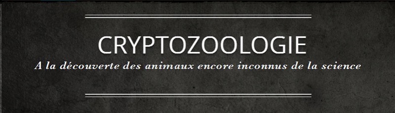 Forum de Cryptozoologie