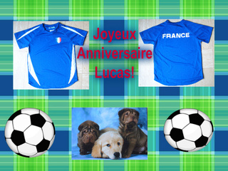 Joyeux Anniversaire Lucas Joyeux Anniversaire Lucas