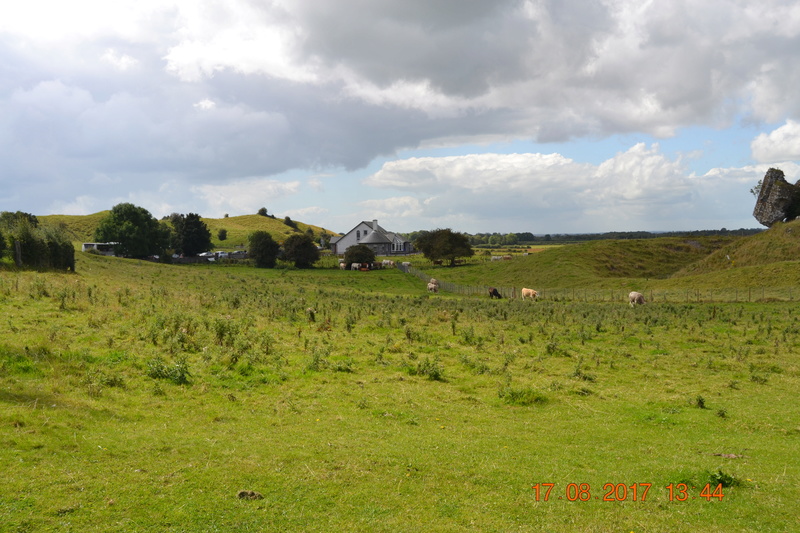 dsc_0012.jpg