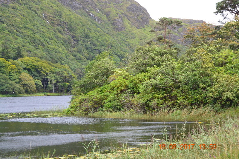 dsc_0017.jpg