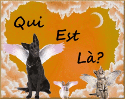 Qui est en ligne ?