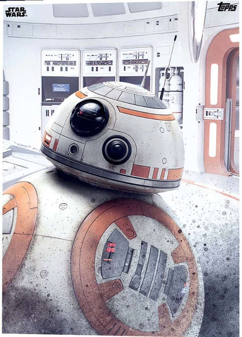 bb-810.jpg